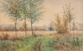 Wachenhusen, Friedrich Adolf Julius Ludwig (1859 Schwerin-1925 ebenda) "Sommerliche Landschaft", Aq