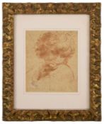 Study of a Youth's Head, Bolognese Master, 18th century
