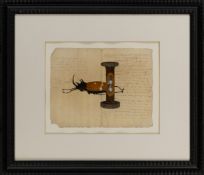 Stag Beetle with Hourglass, 18th century