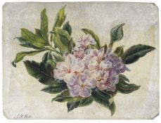 Christian Friedrich Gille "Rhododendronzweig". Um 1860.