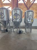 Blackstone Ventures Polished stainless steel Jacketed fermentation tank, 10BBL, includes propagation
