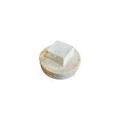 3 1/2'' Coated Pipe Fitting Plug (UNUSED)
