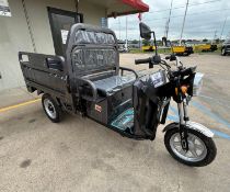 2026 IRET13 Electric Tricycle(UNUSED)