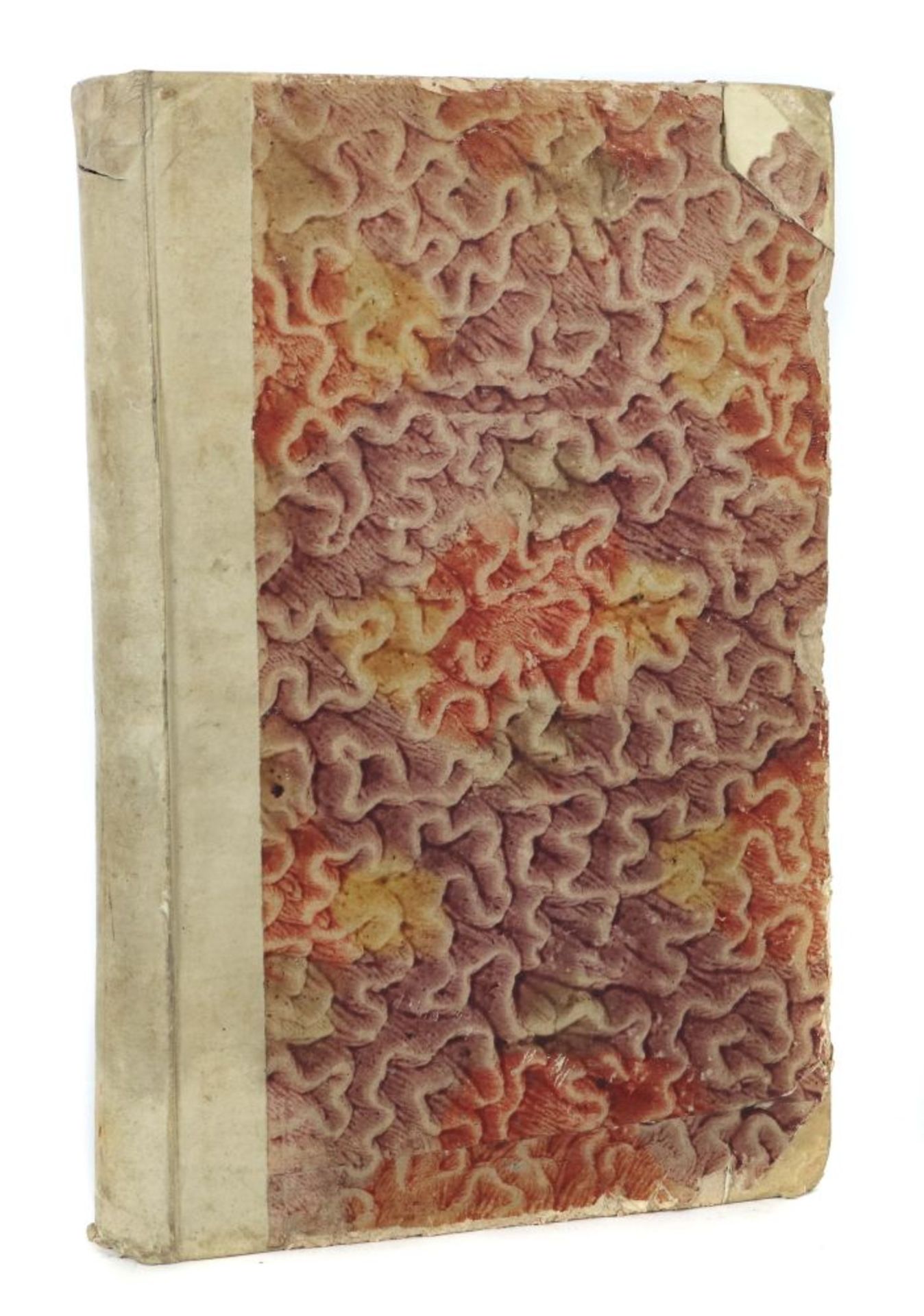 Kundmann, Johann Christian Rariora - Bild 4 aus 4