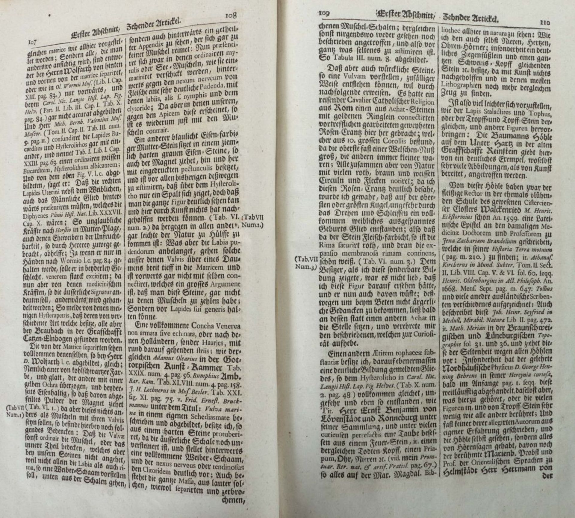 Kundmann, Johann Christian Rariora - Bild 3 aus 4