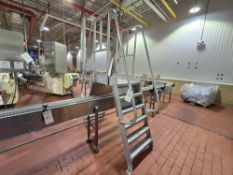 Cotterman Stainless Steel Walkover Bridge Mezzanine