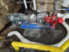 Roger Type 3 Heavy Duty Helical Pump with 10 HP Motor
