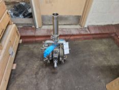 Wilden Air-Operated Double Diaphragm Pump