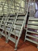 Cotterman Stainless Steel Walkover Bridge Mezzanine