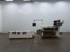 Circle Packaging H18S 3 Lane Horizontal Form Fill and Seal