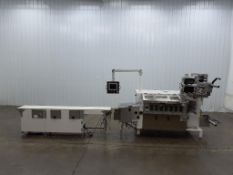 Circle Packaging H18S 3 Lane Horizontal Form Fill and Seal