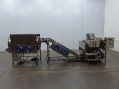 Popcorn Popping and Seasoning Line with Conveyor and Transformer