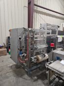 Viking E250 Resistive Vertical Form Fill And Seal Bagger