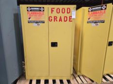 Securall Flammable Cabinet