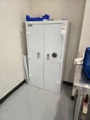 Mesa Fire Safe Security Cabinet