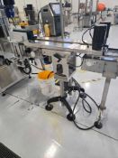 Globaltek Bottomless Transfer Conveyor