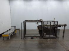 Thiele PL200Product Case Packer For Bagged Products