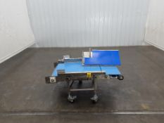 Blue Belt Bag Conveyor 56