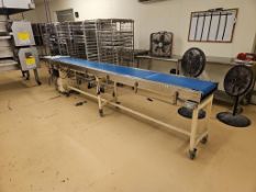 Blue Belt Conveyor 14