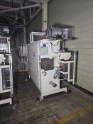 Ropak 3000 Horizontal Form Fill Seal with Infeed