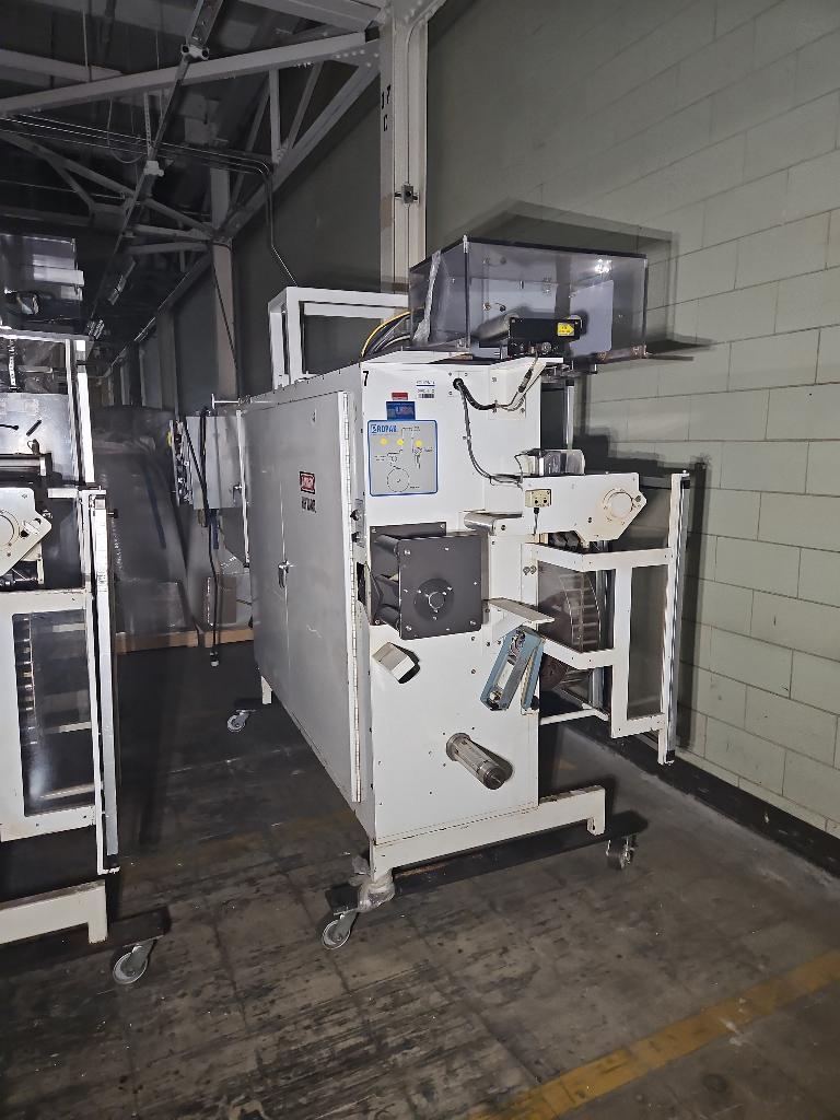 Ropak 3000 Horizontal Form Fill Seal with Infeed