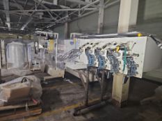 Ropak 3000 Horizontal Form Fill Seal with Infeed