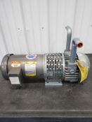 Baldor Motor with Gast Pump