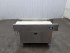 37" L By 17.75" W Stainless Steel Takeaway Conveyor