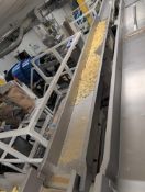 FMC FoodTech 9' L x 11.75