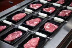 Meat Processing and Packaging Equipment Auction