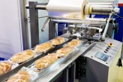 Bakery Processing and Packaging Equipment Auction