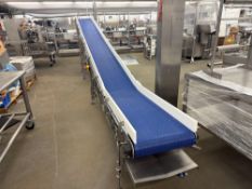 Decline Smooth Top Conveyor