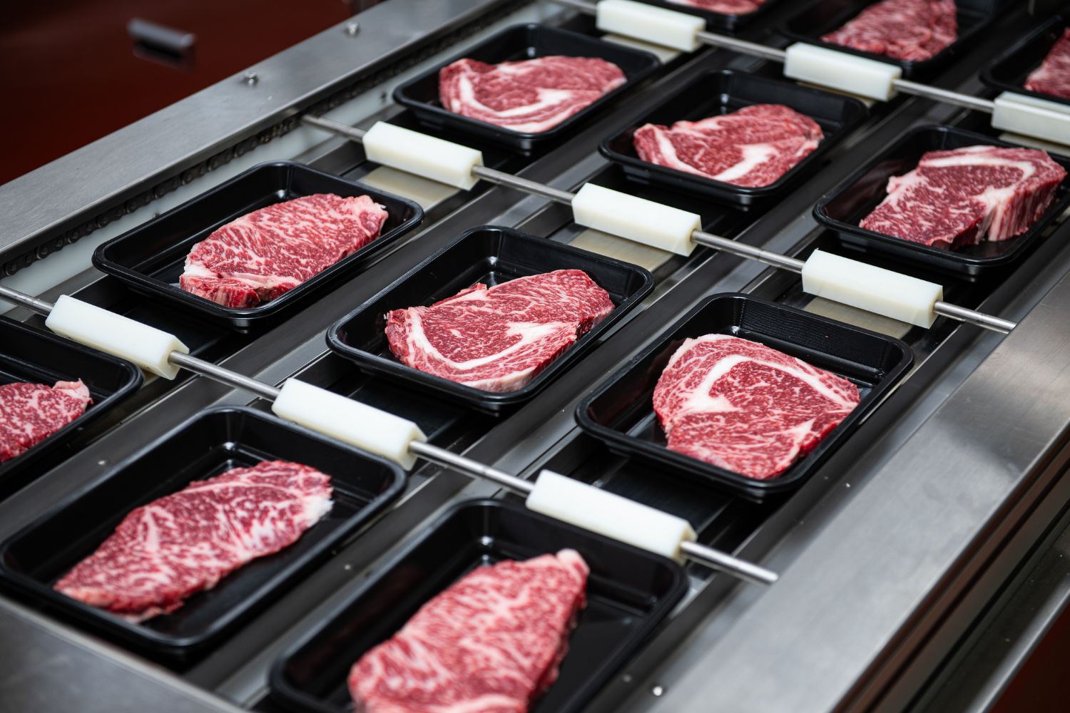 Protein Processing, Packaging & Plant Support Equipment Auction