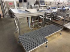 Stainless Steel Drain Table