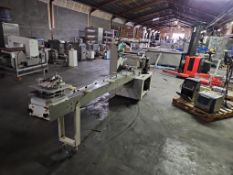 Automatic 450 Horizontal Flow Wrapper