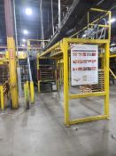 PAI High Level Infeed Palletizer with Slip Sheet Inserter