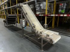 Cleated Incline Conveyor