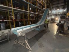 Cleated Incline Conveyor