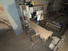 All Packaging Machinery Vertical Band Sealer