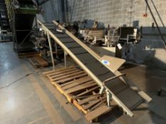 Incline Conveyor with Baldor Electric Motor