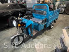 Electric Tricycle w/ Bed