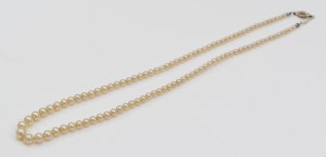A 14K white gold clasped imitation pearl necklace, 39cm