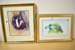 After Elaine Franks (British Contemporary) lithograph 'Young Saw Badger' a detailed depiction of a