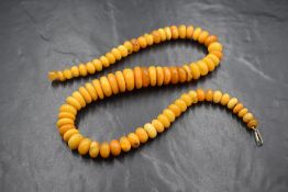 A string of graduated butterscotch amber button style beads having a hook and loop clasp, approx 20'
