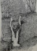 *Local Interest* Neale Holden (British Contemporary) Pen and Ink 'Stock Ghyll Force, Ambleside' a