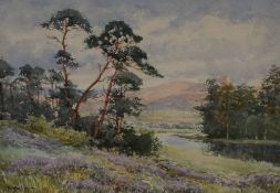 Dorothy Livermore (British 19th/20th Century) Watercolour, a mountainous river landscape with