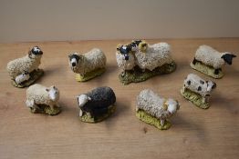 A group of eight 'Stef' sheep studies to include black-faced tups, herdwick ewe and lamb and black-