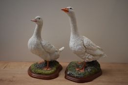 Two large Border Fine Arts bird studies 'Goose' model number A0125 and 'Farmyard Duck' model