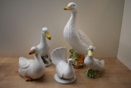 A group of five continental porcelain bird studies, one having a mark to underneath, largest