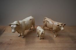 A Beswick Pottery Charolais Cow and Bull trio comprising 'Charolais Bull' model number 2463A